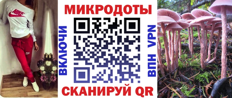 KRAKEN как войти Борисоглебск Галлюциногенные грибы ЛСД