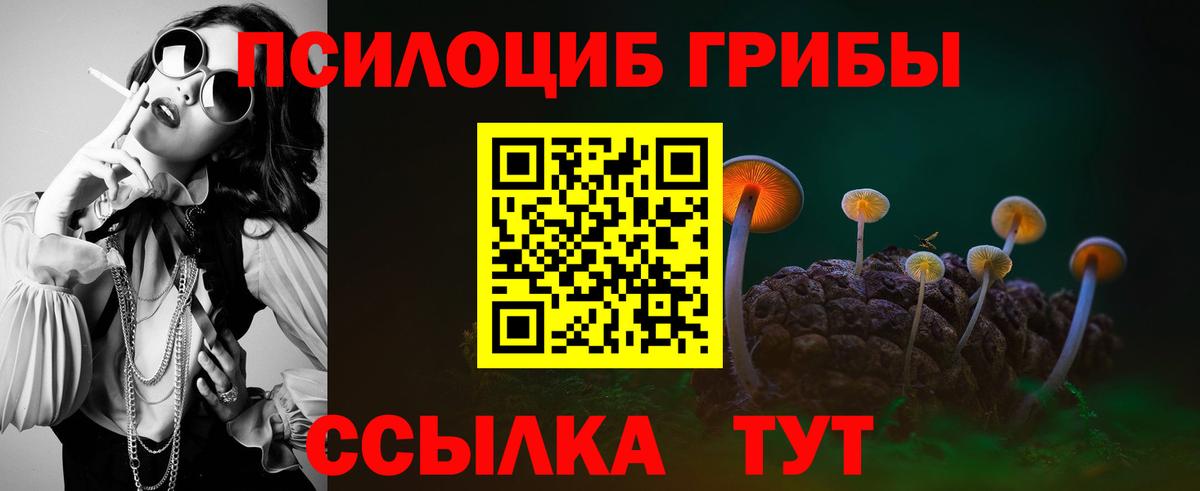 Галлюциногенные грибы Psilocybe  Галлюциногенные грибы ЛСД  Вход с VPN  Борисоглебск 